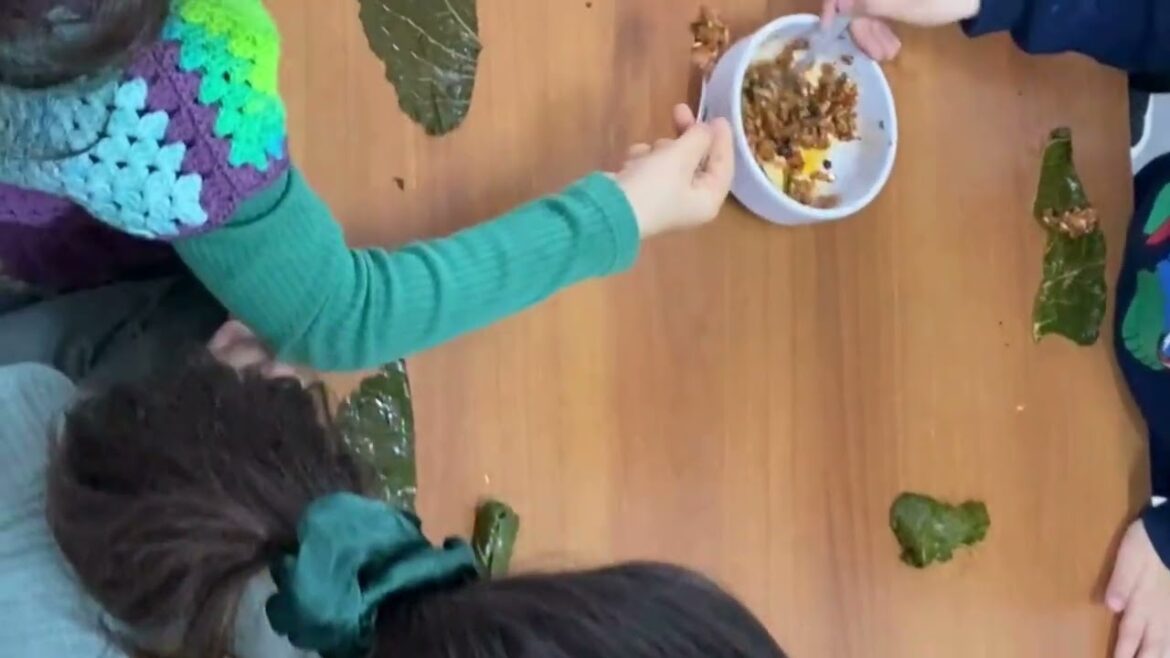 LAHANA SARMASI (CABBAGE ROLLS FROM TURKISH DISHES)