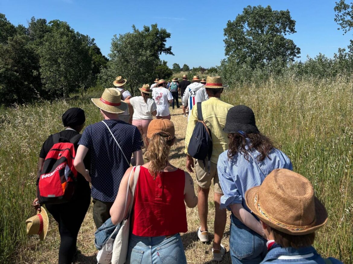 The Southern French Wine Region Having Its Breakthrough Moment