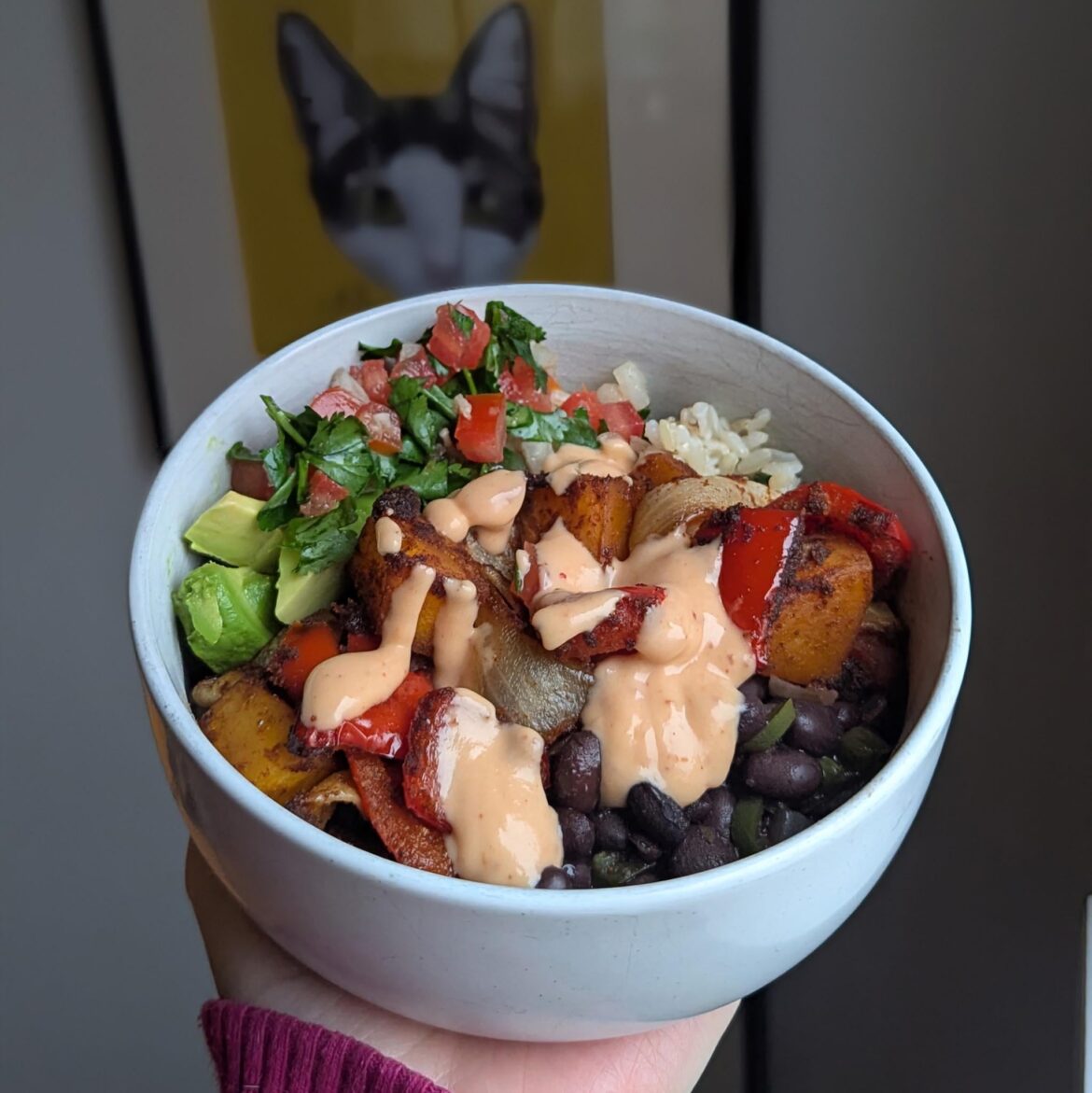 Roasted chipotle maple butternut squash bowl.