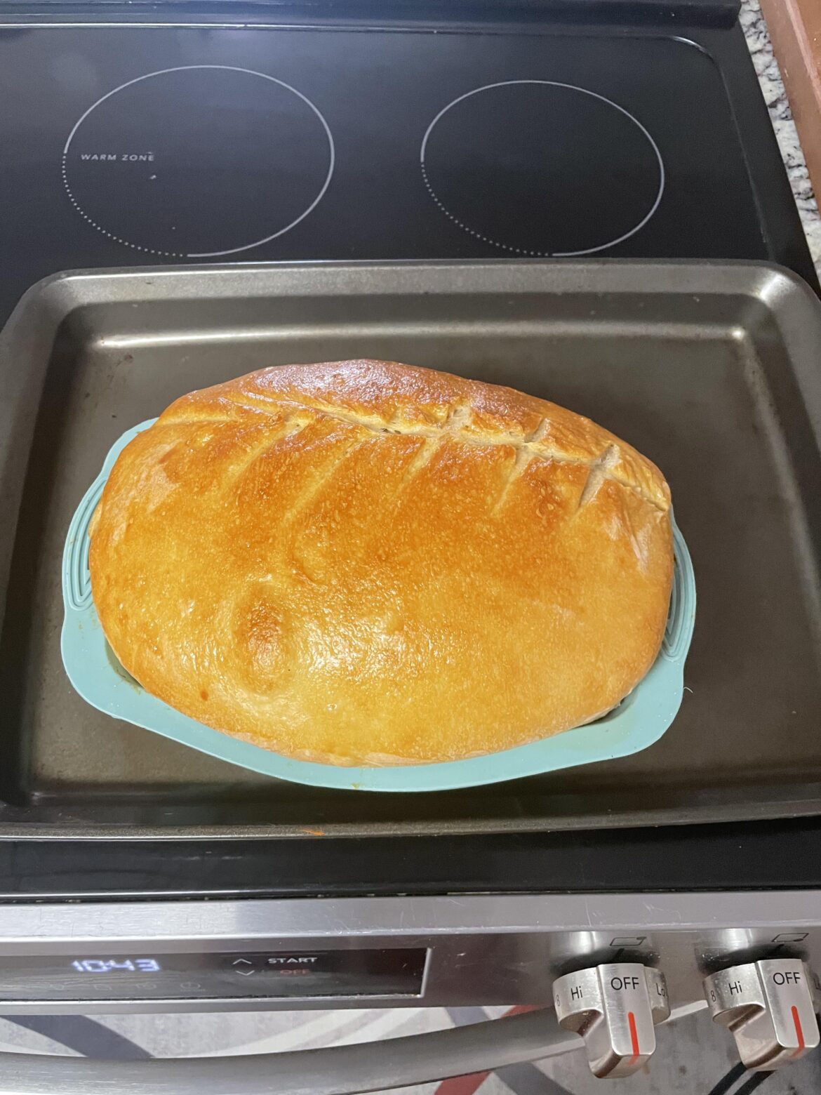 Trying to get a starter to rise a loaf of sourdough lunch bread.
