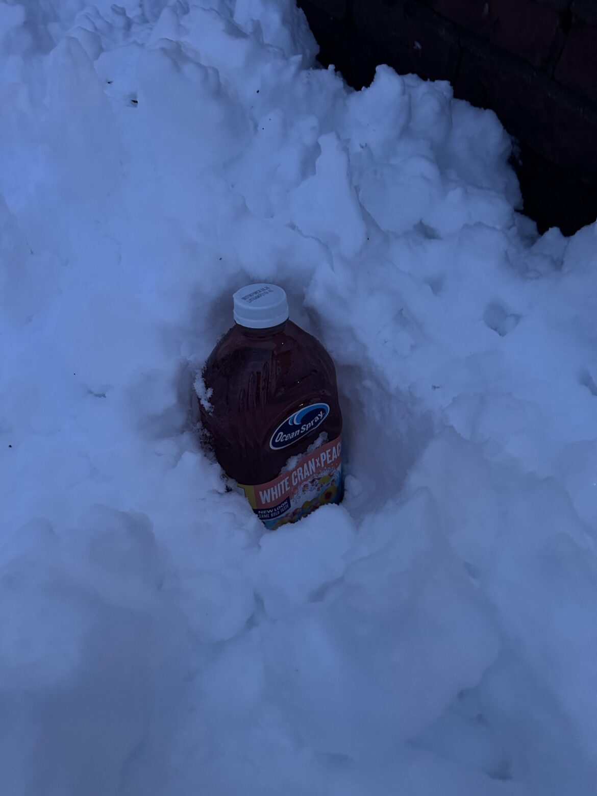 How long till this gets cold for dinner tonight?