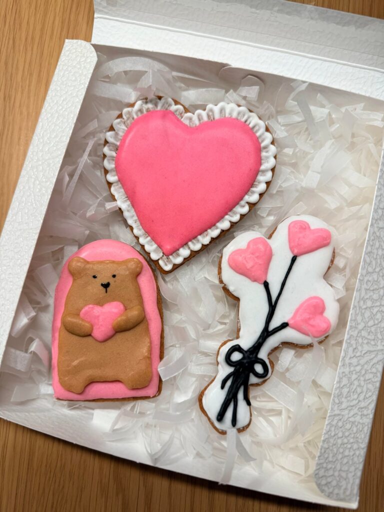 My first two sets of royal icing cookies!