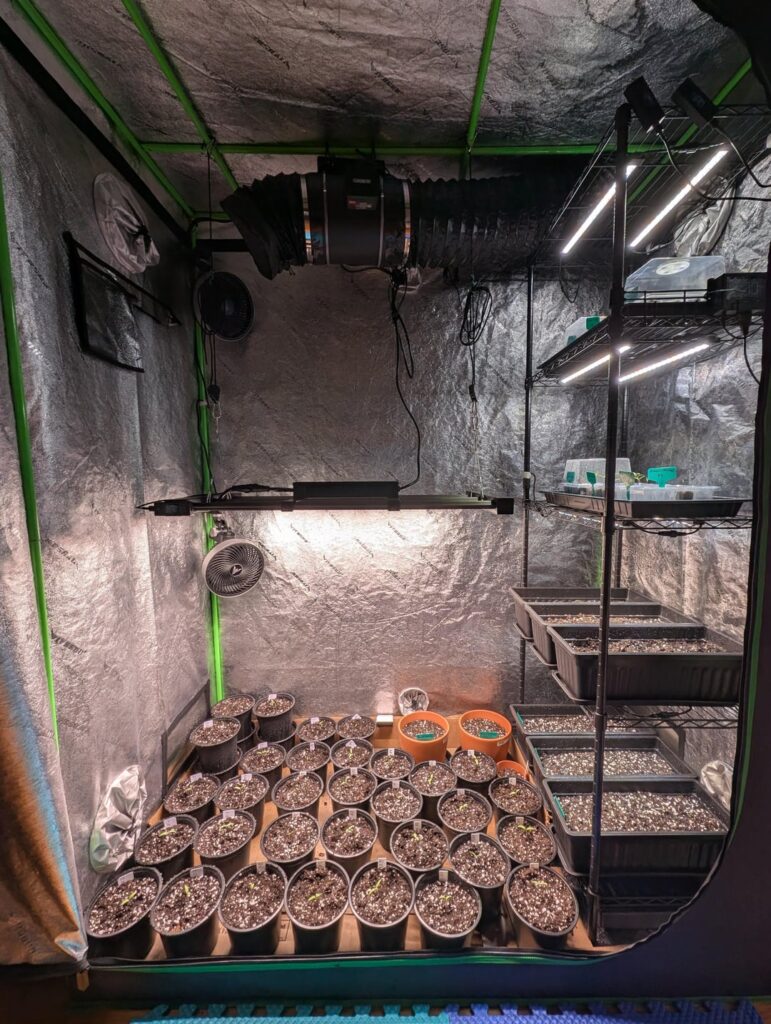 Well, the friends need to take some. I only have room for 24 in my boxes outside.