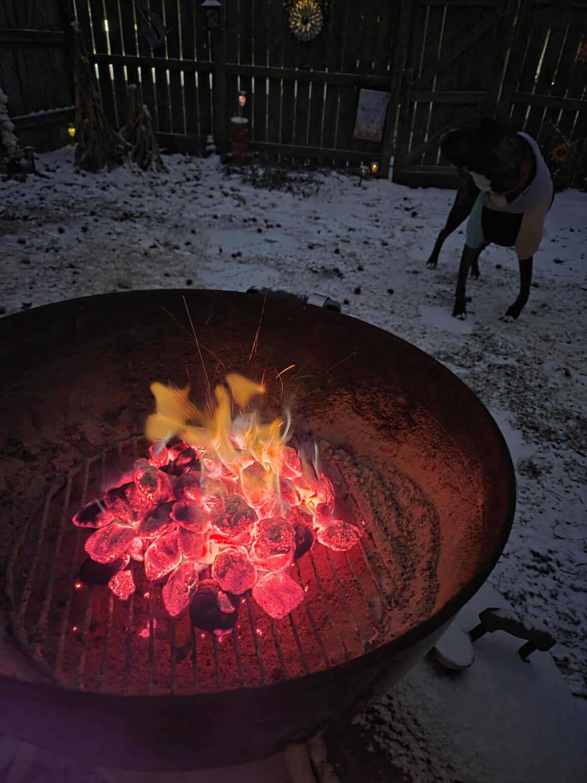 Winter grilling