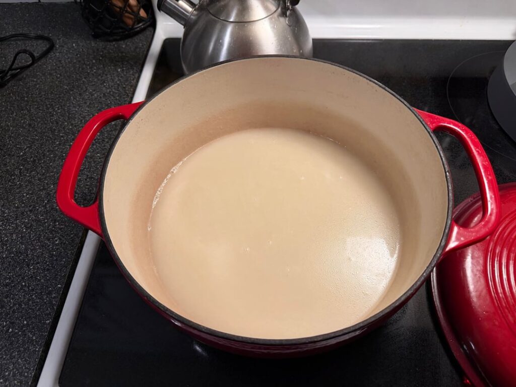 Instant Pot Tonkotsu