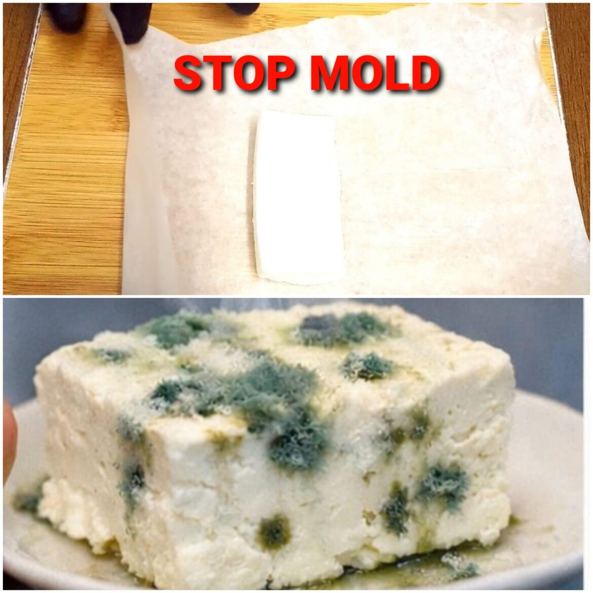 Cheesemaker’s 30-Year Storage Hack That Keeps Cheese Fresh for Weeks