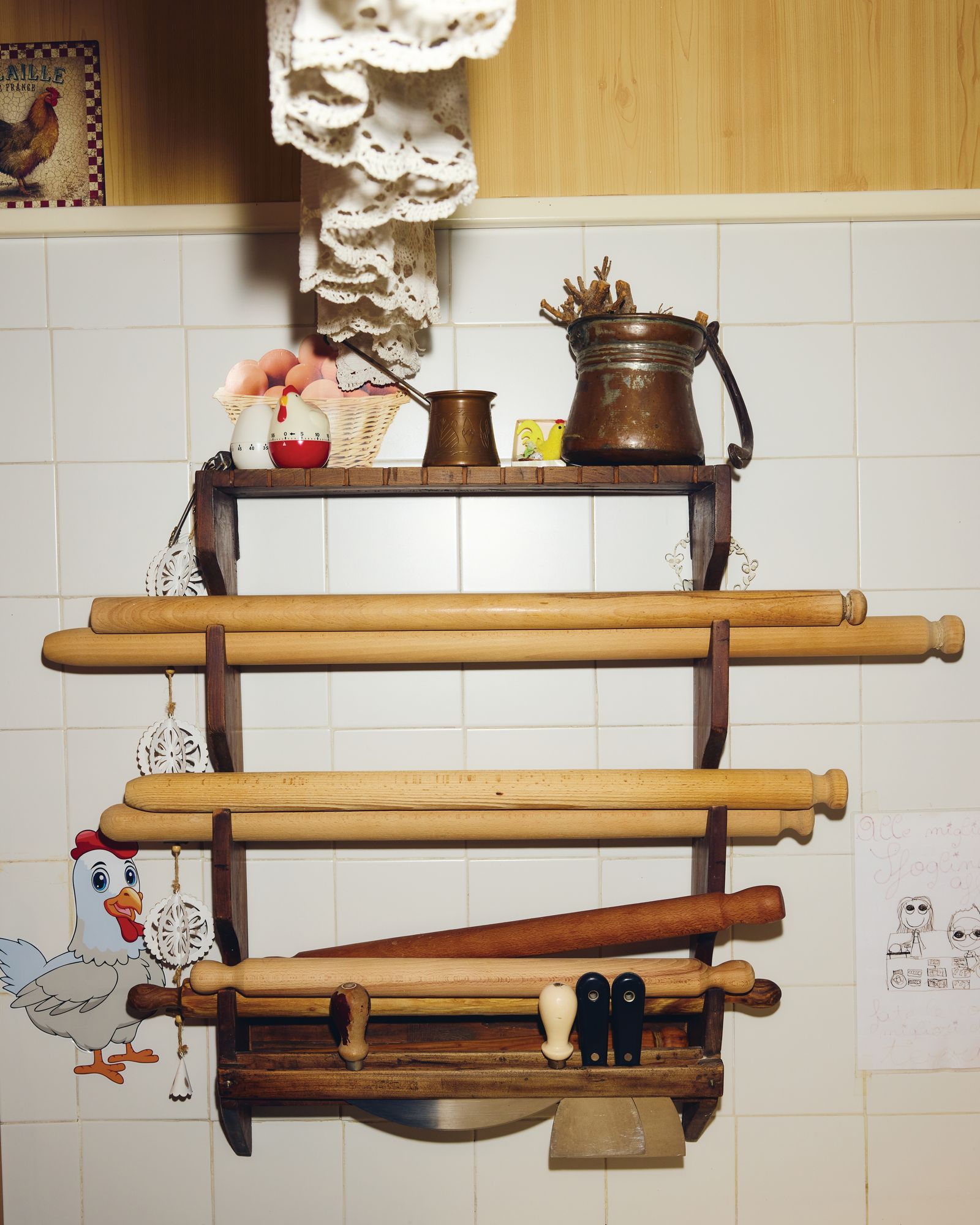 Image may contain Animal and Bird