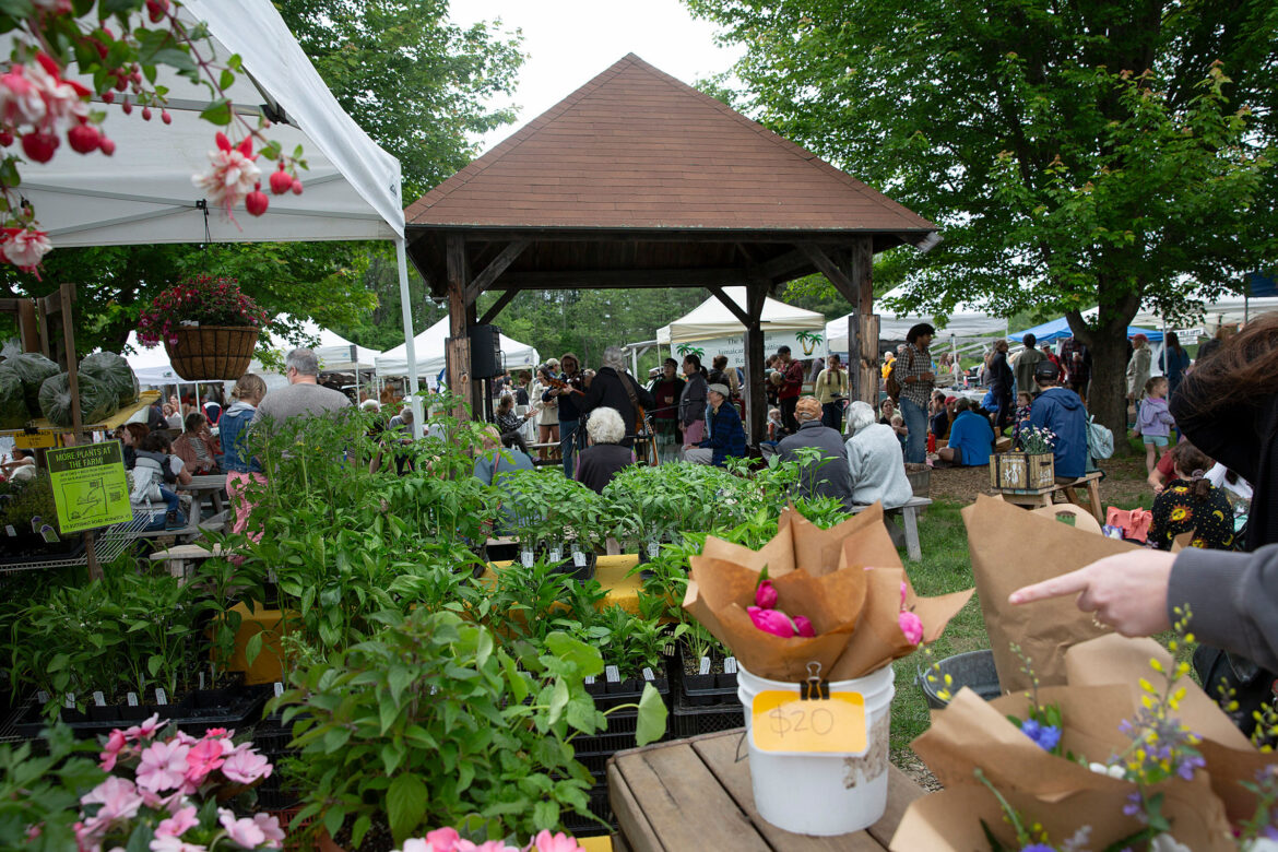 Vermont's food assistance program may restrict purchases