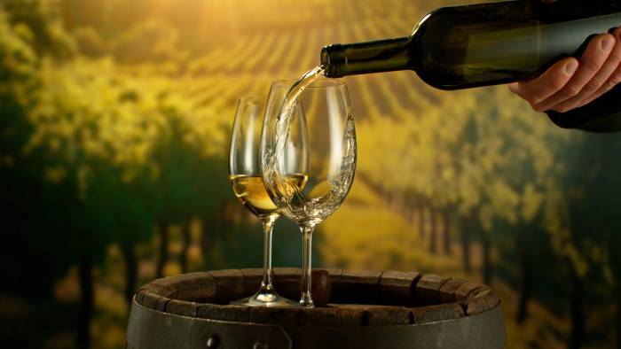 Latin American Wine and Spirits Producers Expand Exports to Russia Amid Shifting Market Conditions