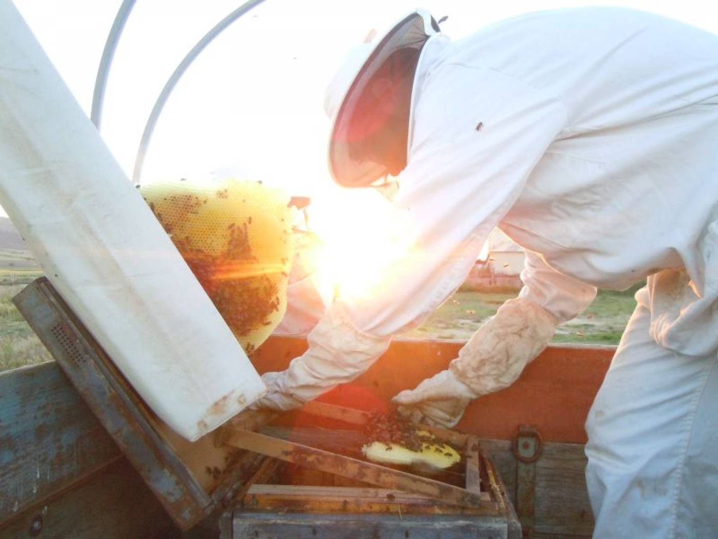 Guatazales wine tourism, rural accommodation and natural products in Murcia