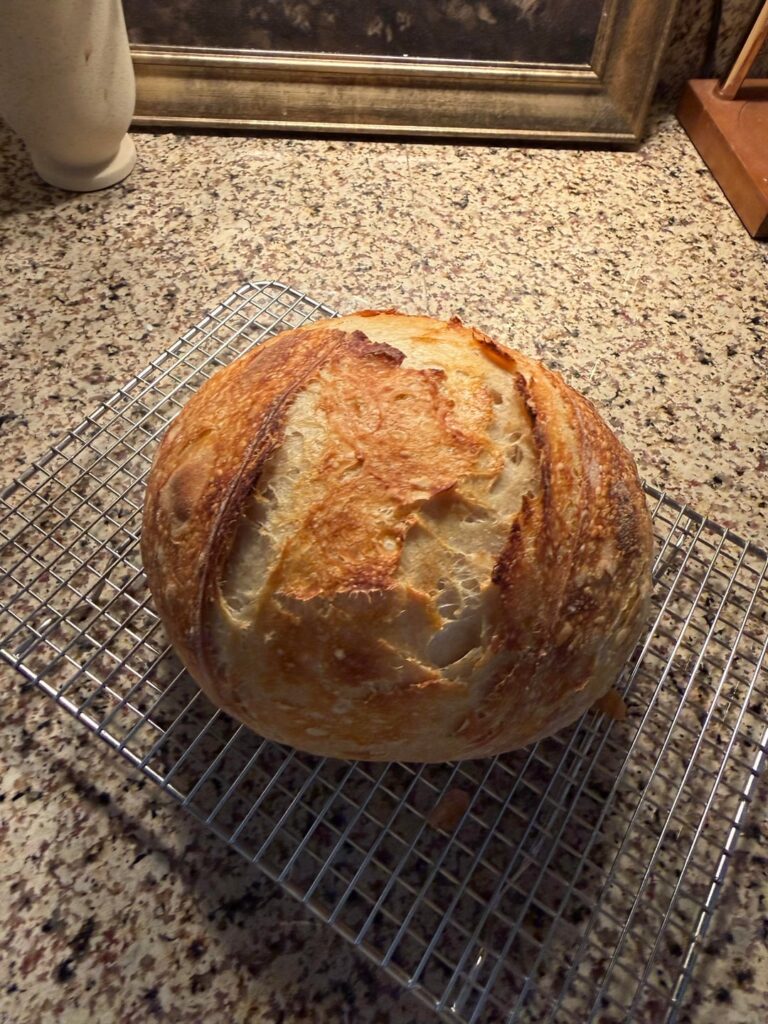 A discard loaf— for science!!