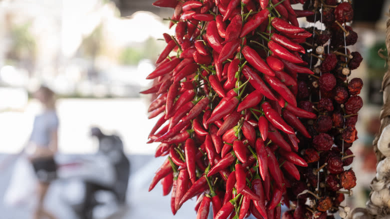 Calabrian peppers hanging in a bunch for sale