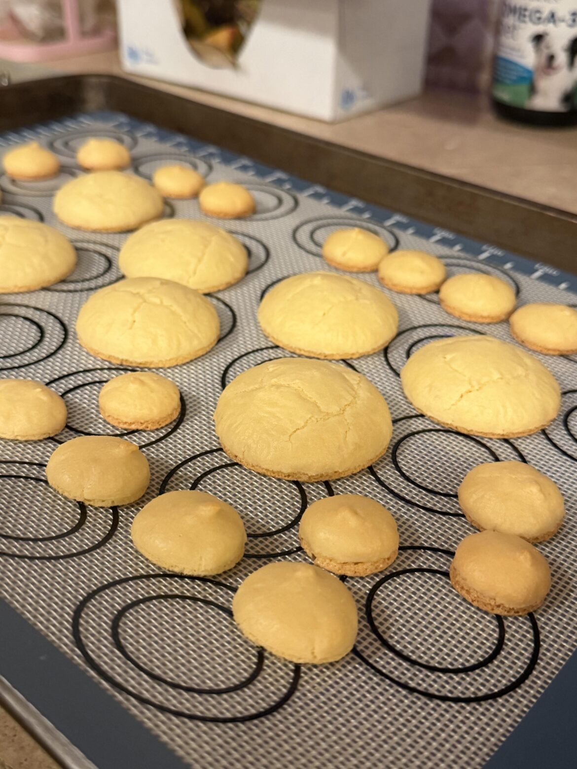 What happened to them :(