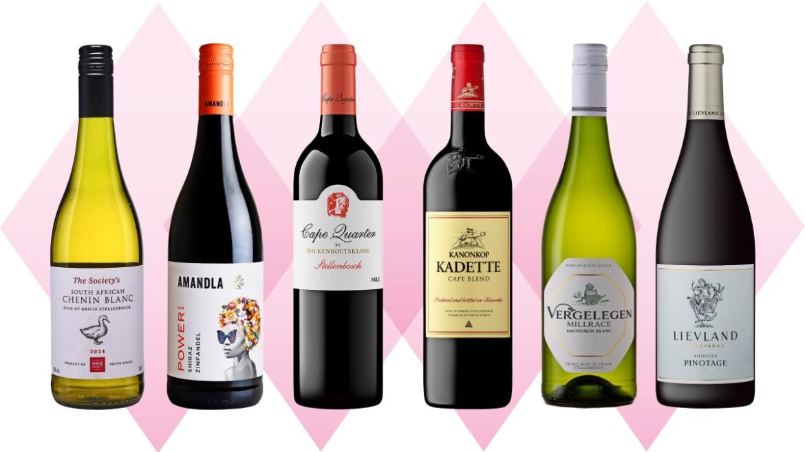 Best South African wines for under £20 — six bottles to buy
