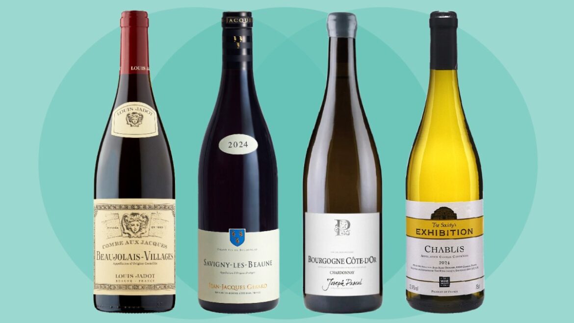 The best Burgundy wines to buy now — chosen by our critic The best Burgundy wines to buy now — chosen by our critic
