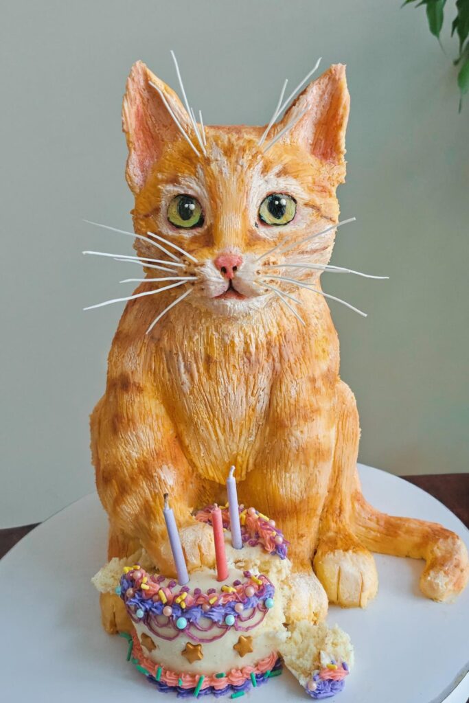 cake I made for my sister of her cat :)