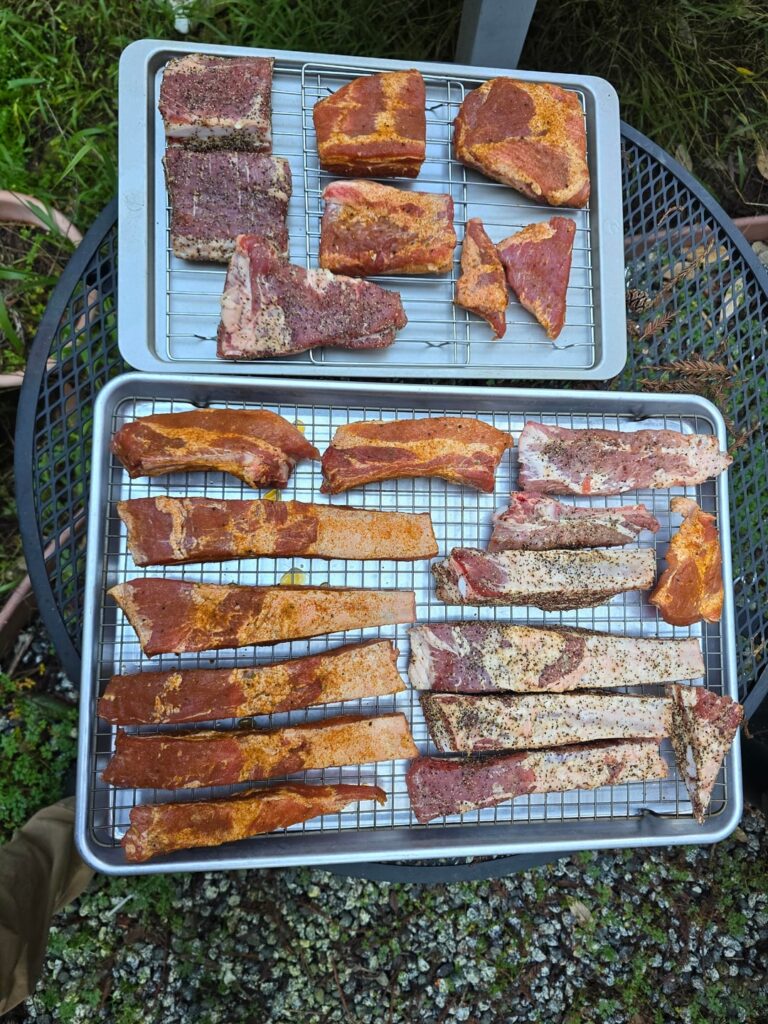 Party Ribs & Rib Tips