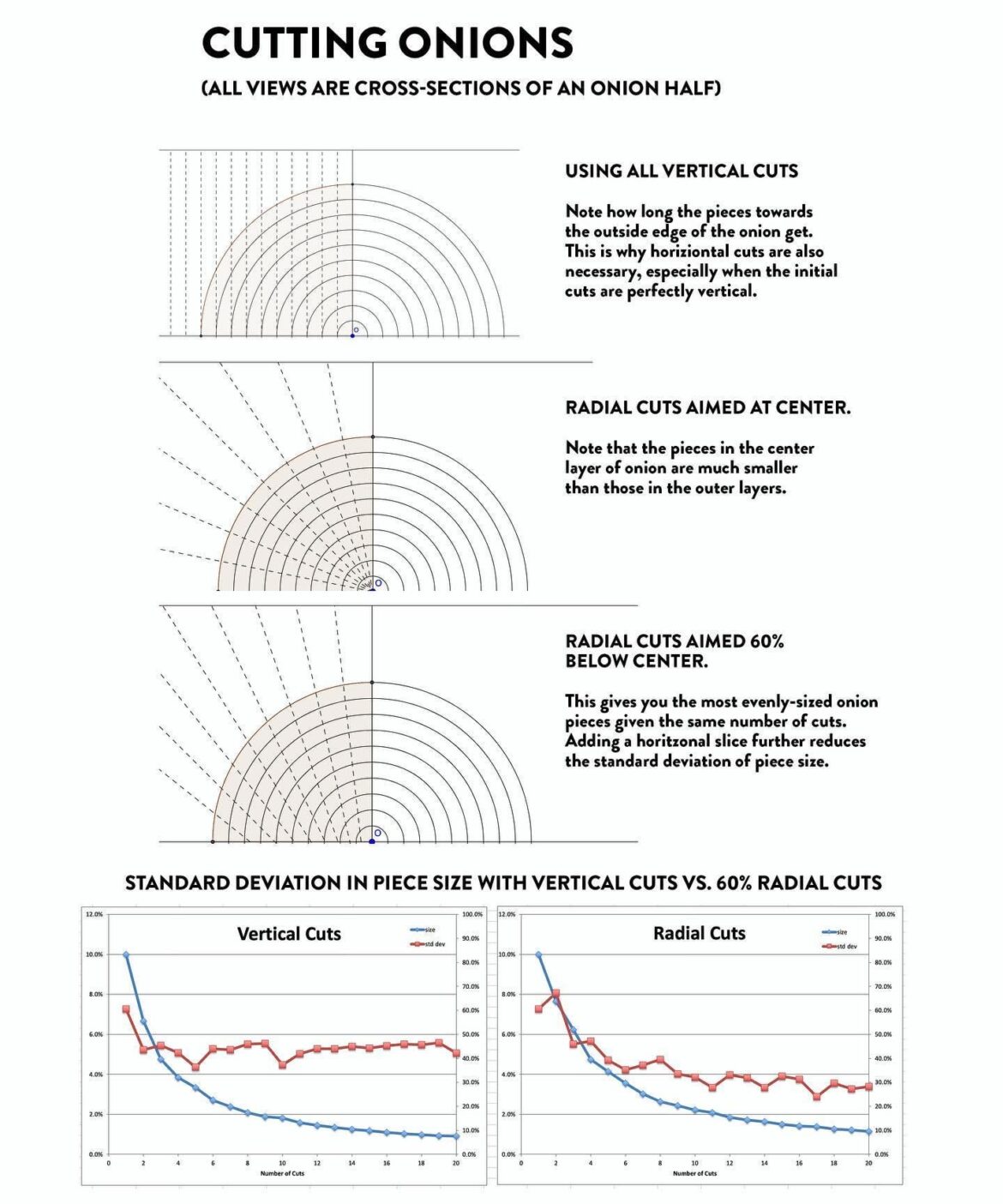 The best way to dice an onion? Kenji already figured that out in 2021...
