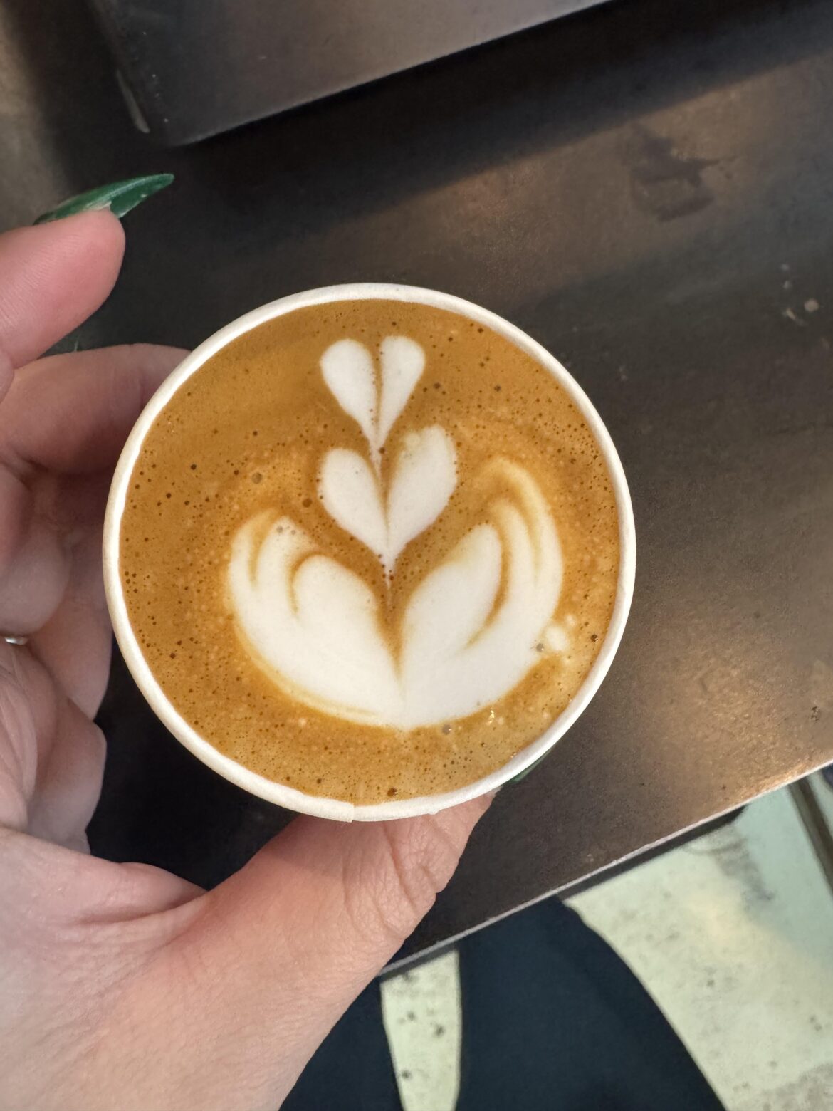 cortado tulip