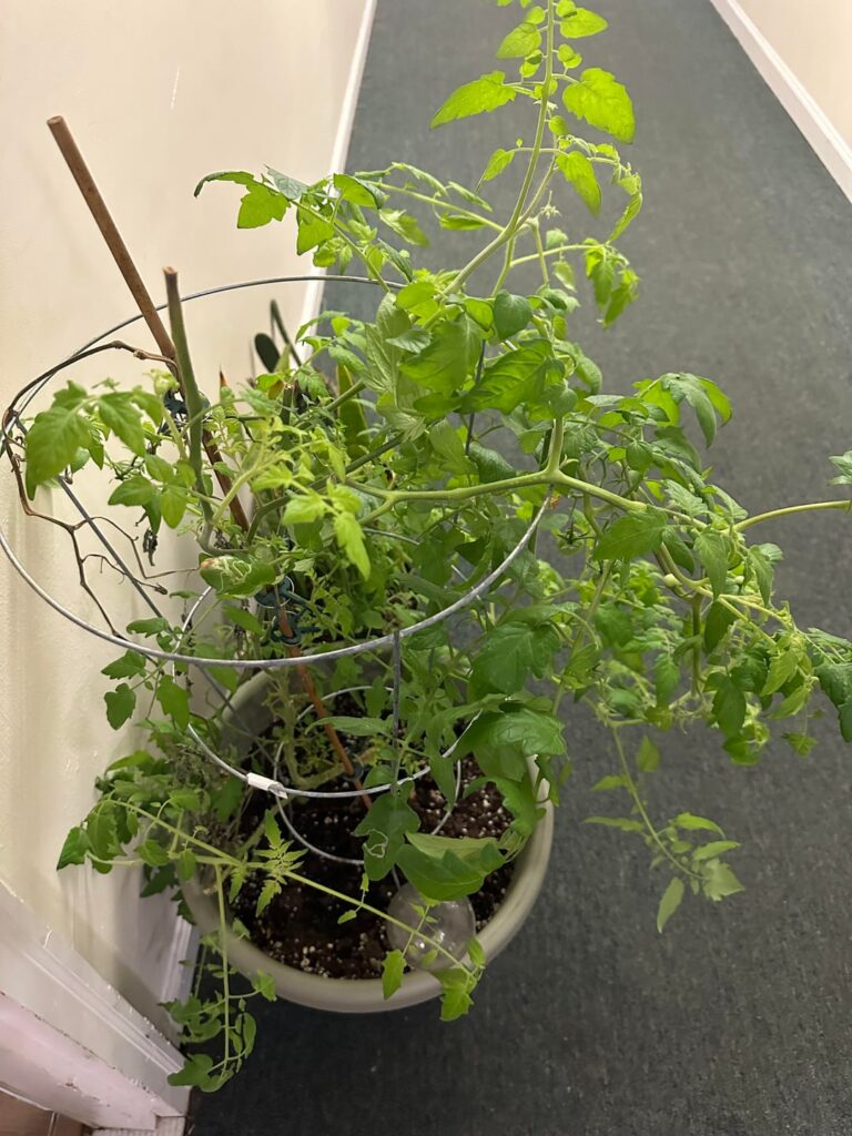 Florida Cold… (Central) Florida Cold... (Central)