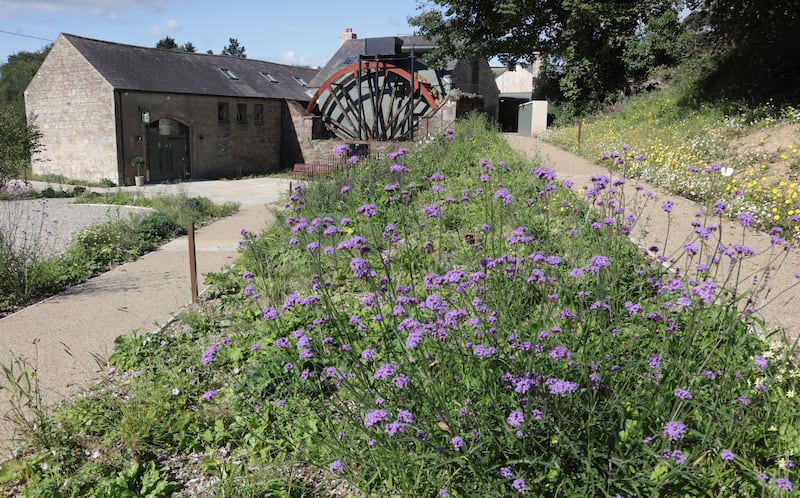 Carlos and Lucie Capparelli  at Capparelli at the Mill in Dundonald.
PICTURE: COLM LENAGHAN