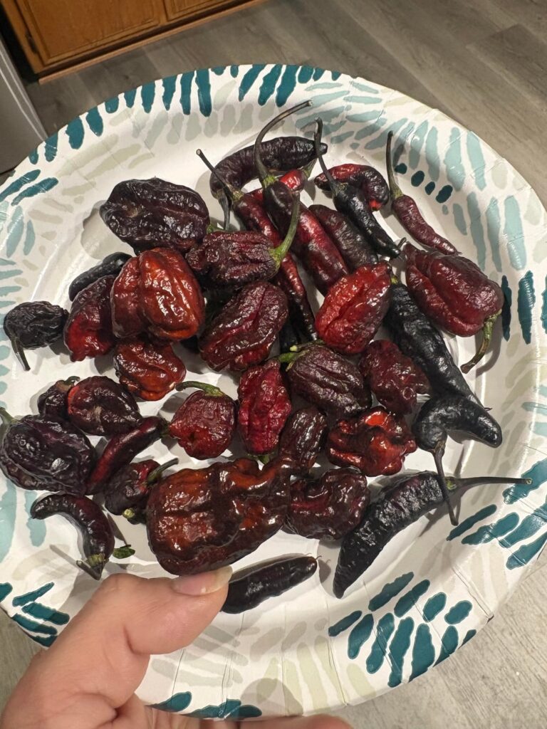 Moruga Blackjack # super spicy