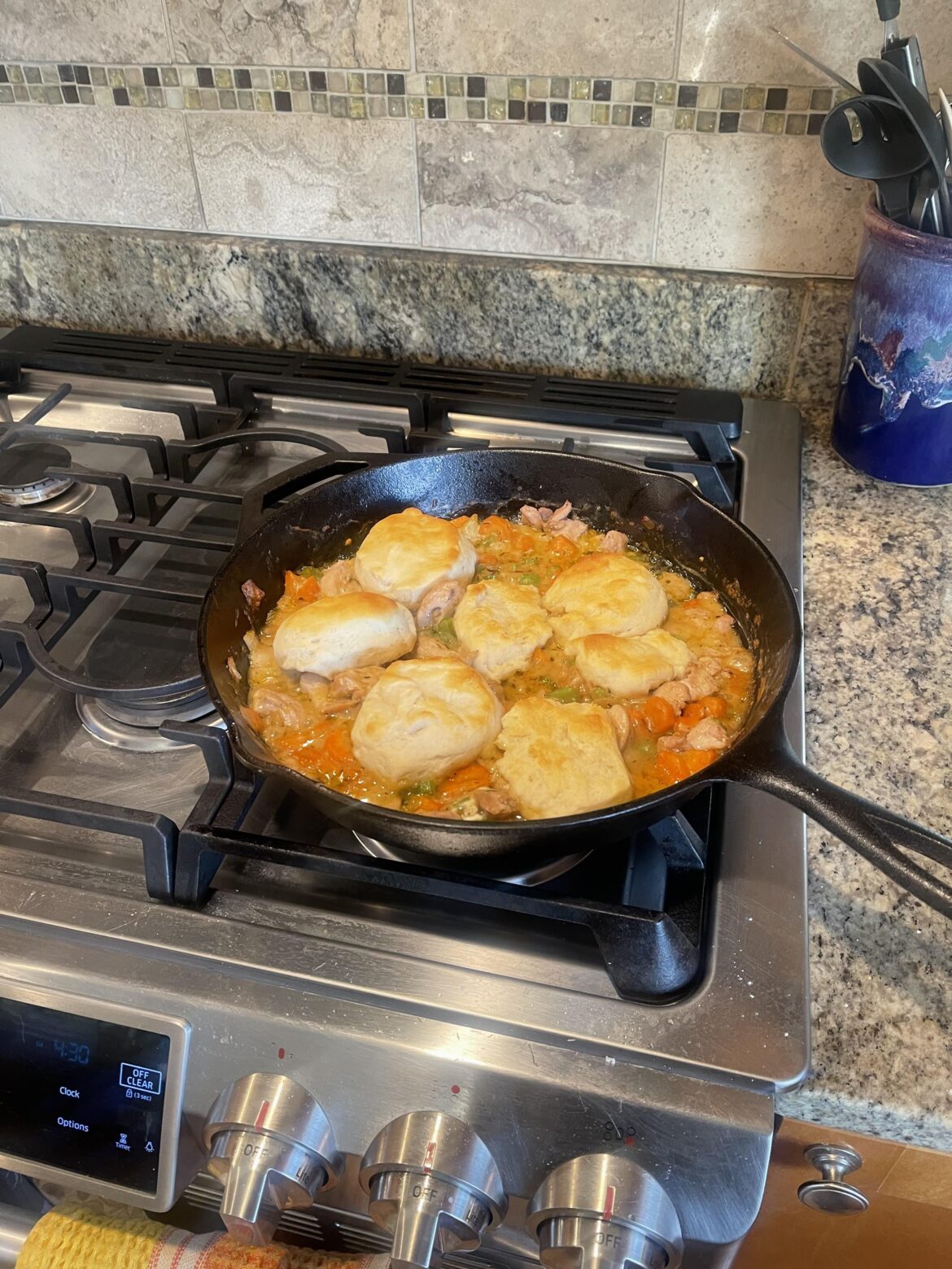 Homestyle Chicken & Biscuit Pot Pie