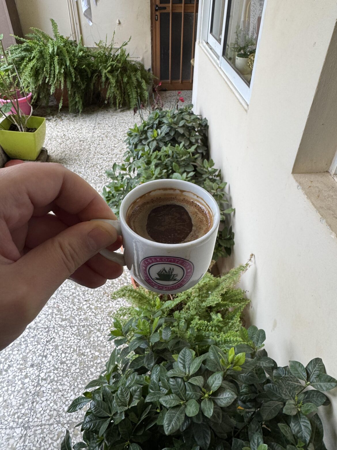 My Lovely 😻 Cypriot Coffee ☕️