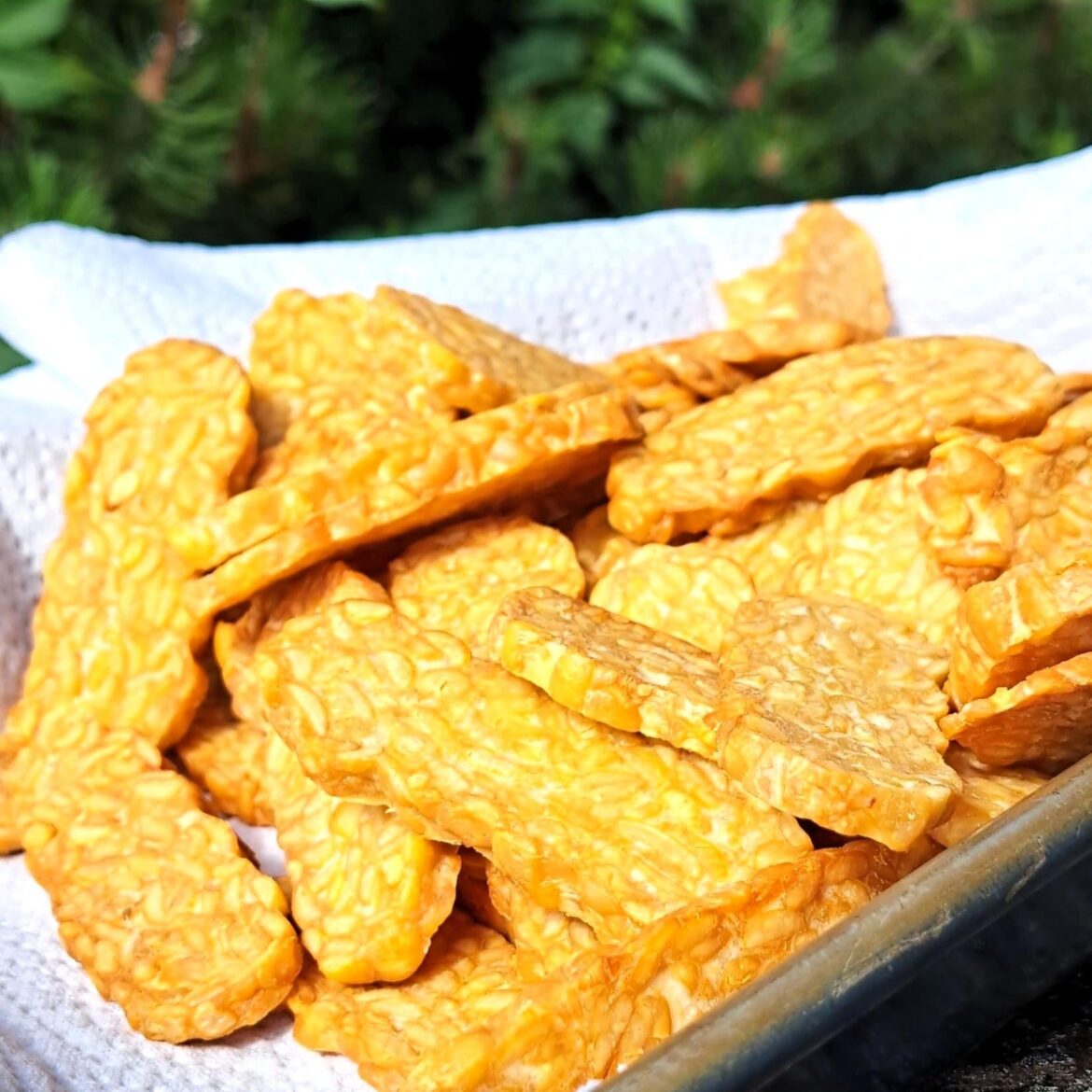 Please reccomend a salsa for my iamiam tempeh.