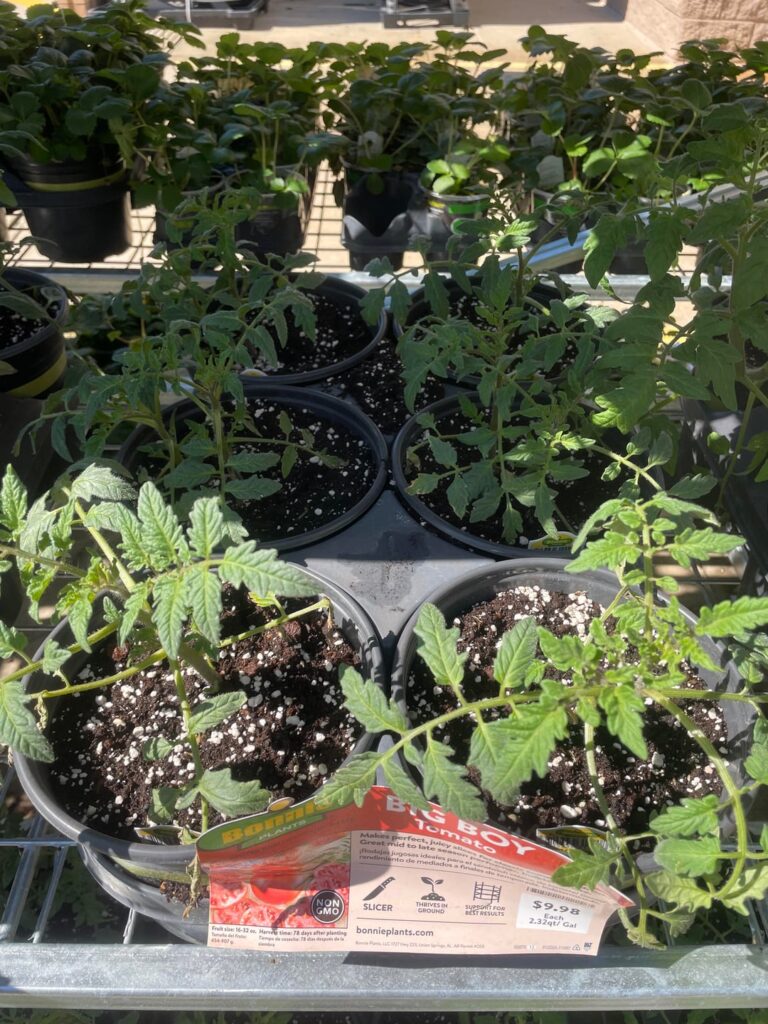 Just had to laugh at the insanity.