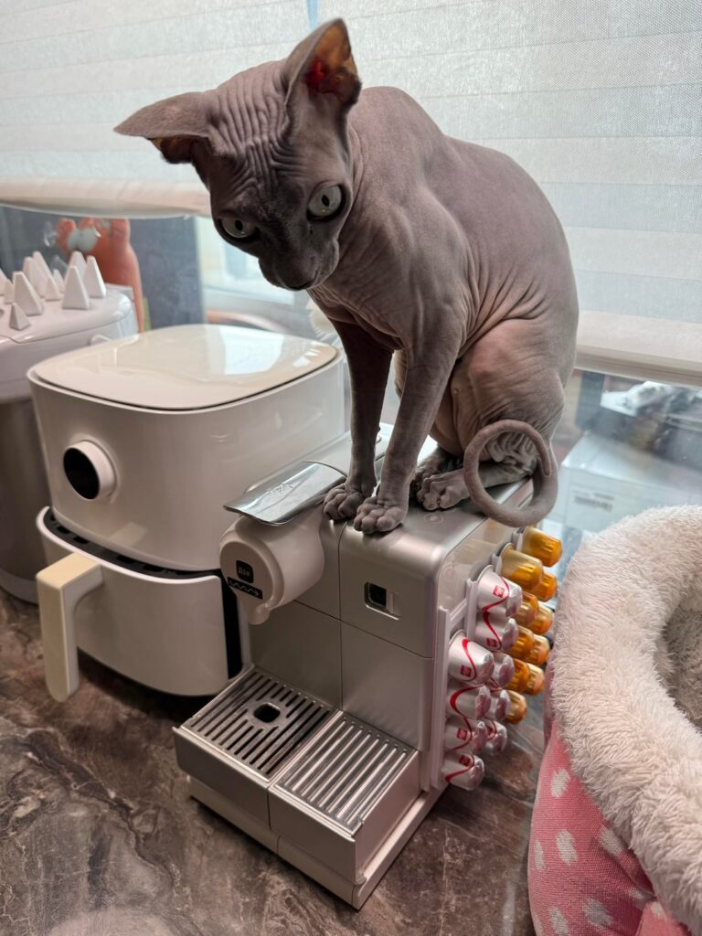 I guess no more Nespresso today…