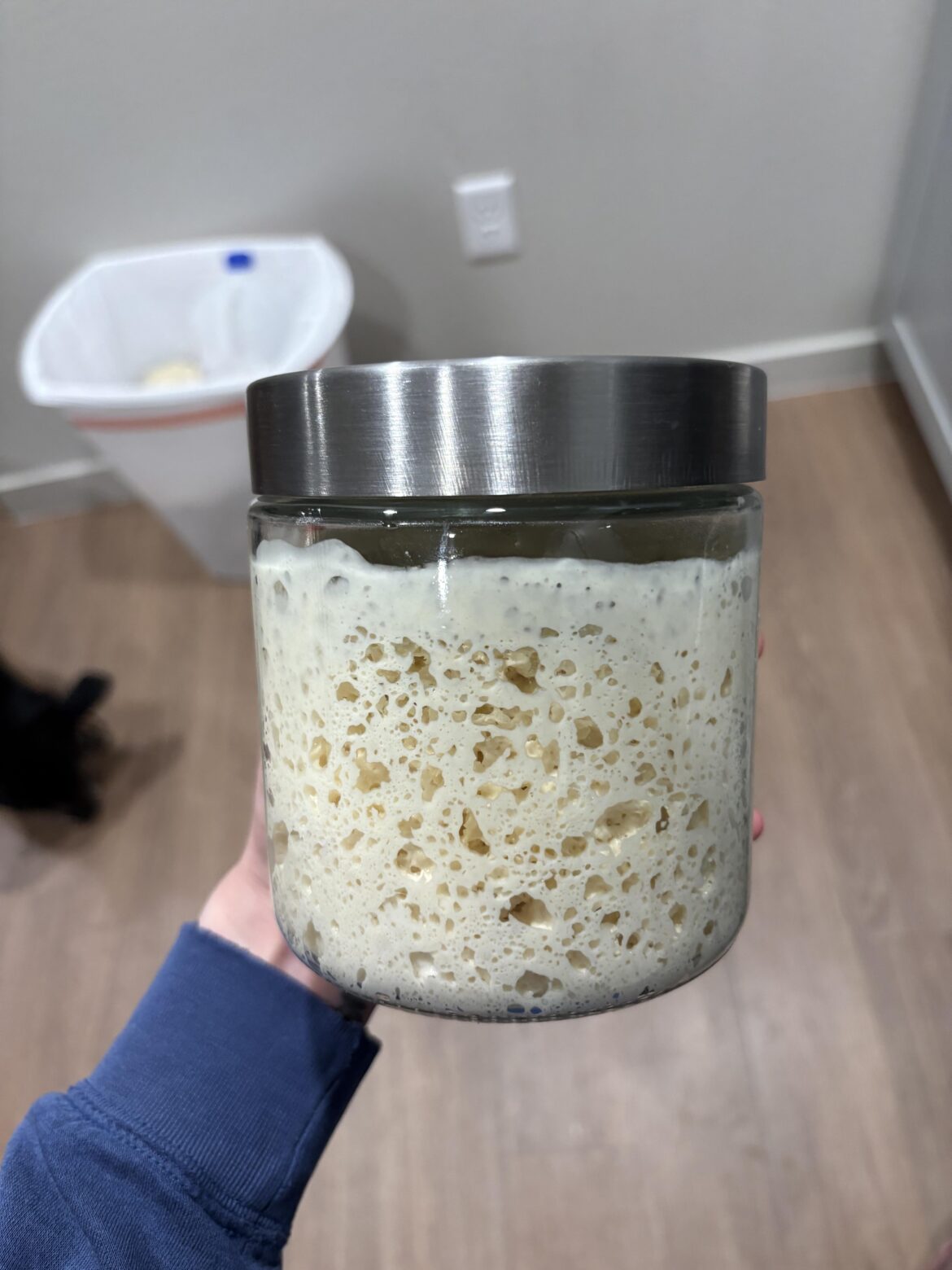 Sourdough starter