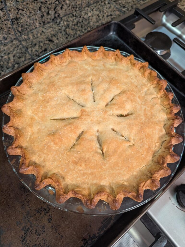 Chicken Pot Pie - Venting Post