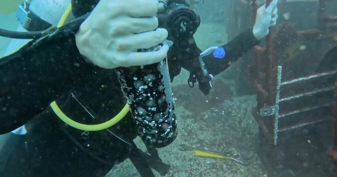 Chile launches underwater wine aging off Pacific coast | National/World