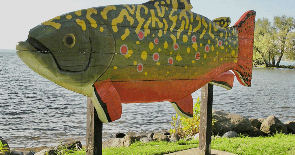 Fish recipes from the archive help mix up Lenten Fridays Fish recipes from the archive help mix up Lenten Fridays