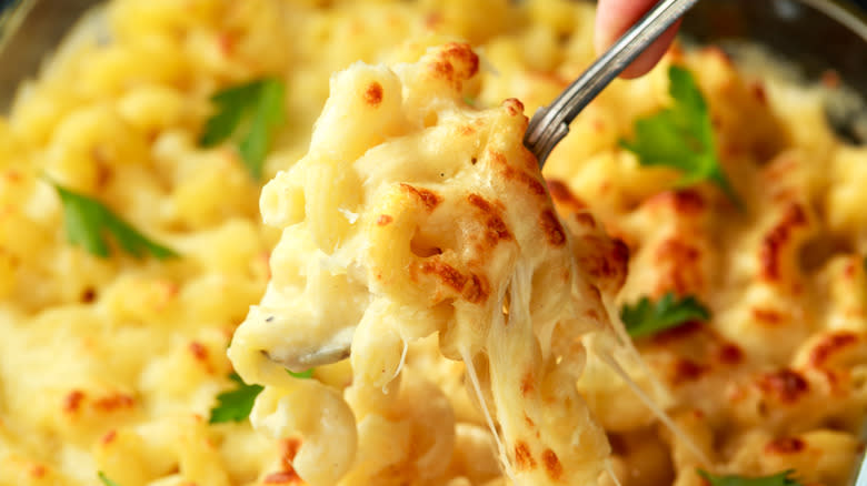 Spoon lifting mac and cheese
