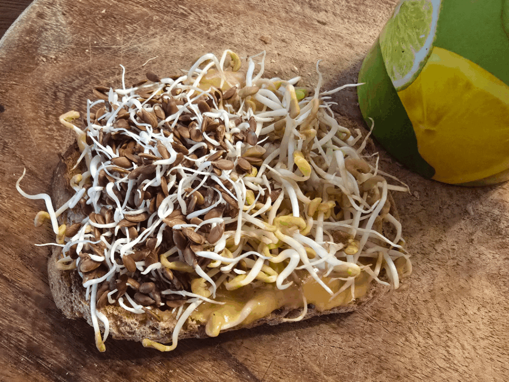 Sprouts for plant based histamine challenged fellows