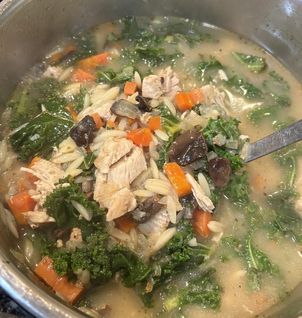 Mushroom kale chicken orzo soup