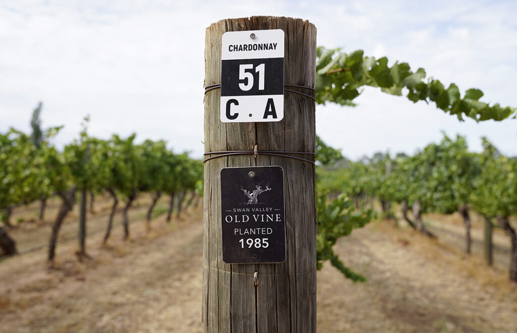 State wine industry boost set to benefit Swan Valley