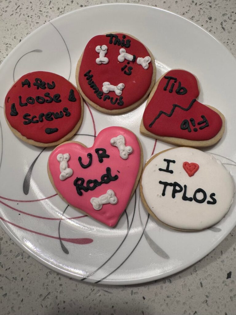 Veterinary Orthopedic Cookies!