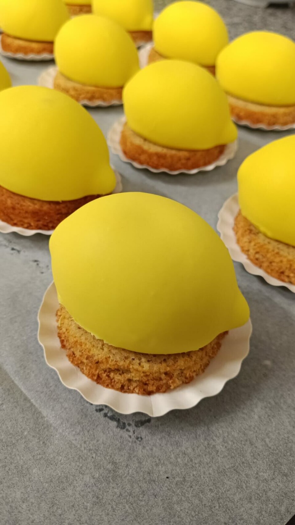 Anne and Julien Gueucier