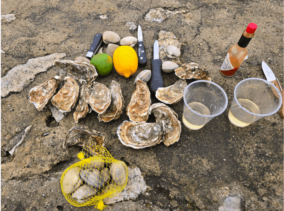 Oysters and clams 'on-the-rocks'