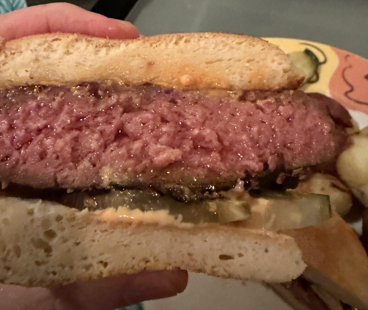 I know some people here are SV burger haters