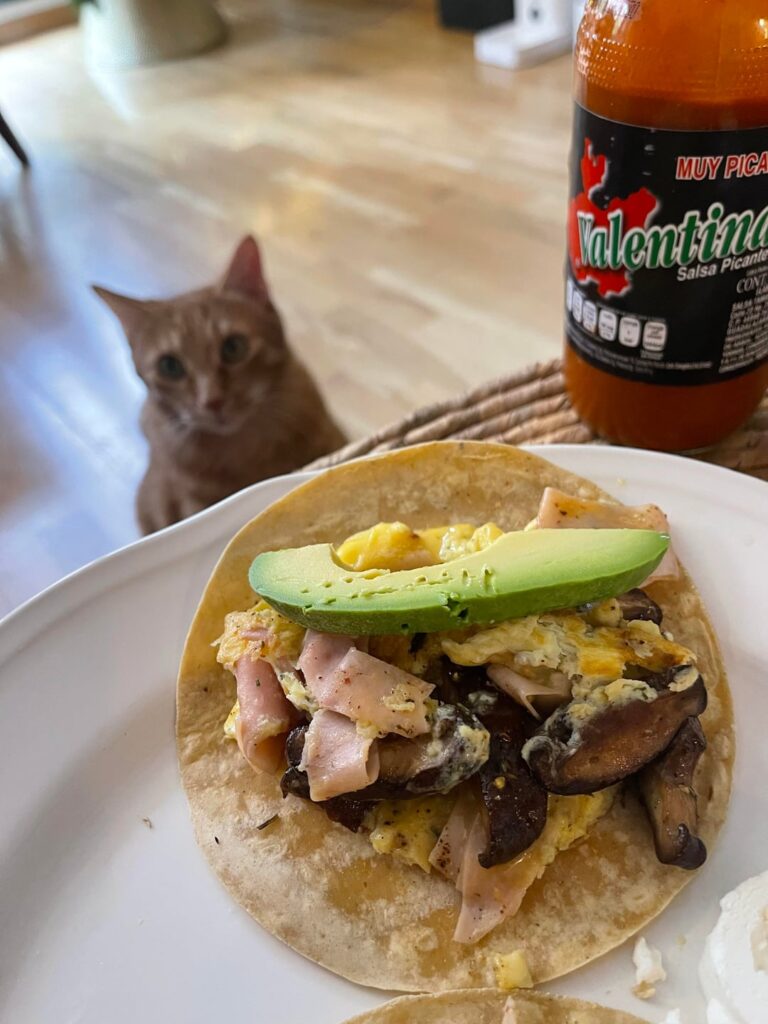 Guardian of breakfast