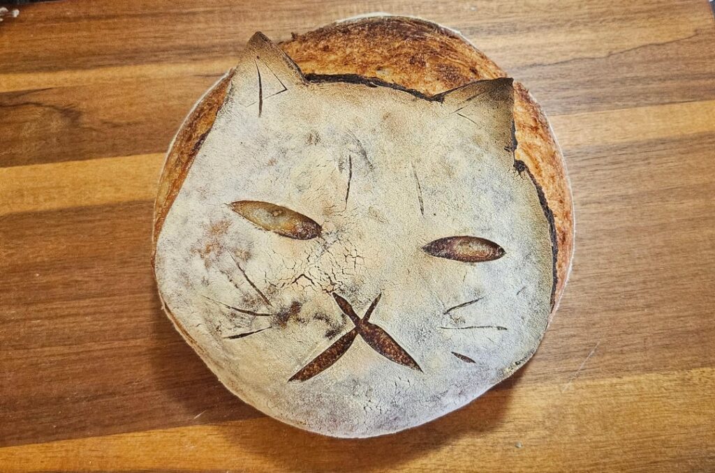 Some of my attempts at a perfect cat loaf