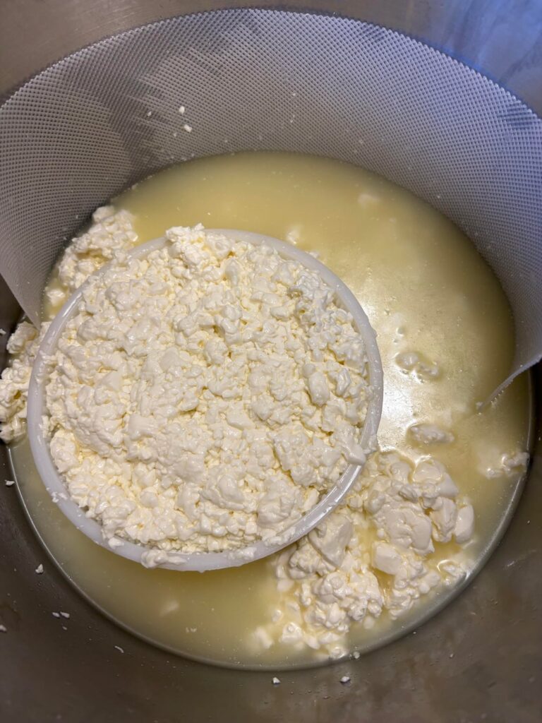Imeruli cheese draining including the first flip. It’s so satisfying flipping them the first time! Easy to make fresh cheese that is ready to eat in a couple of days.