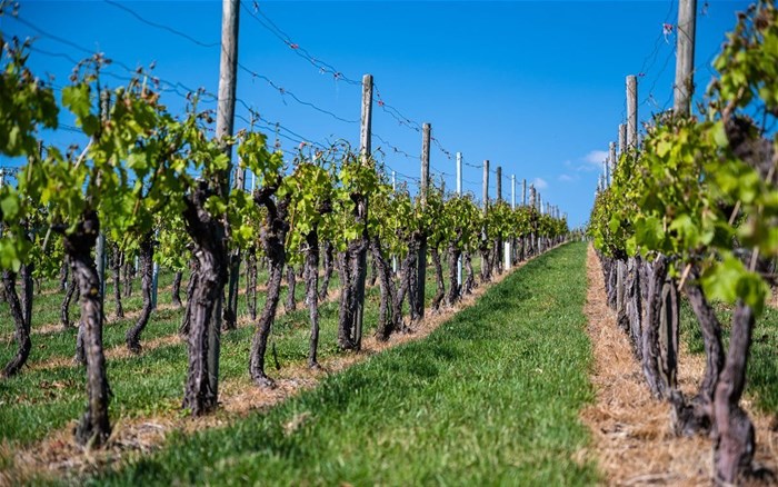 Source: wirestock via