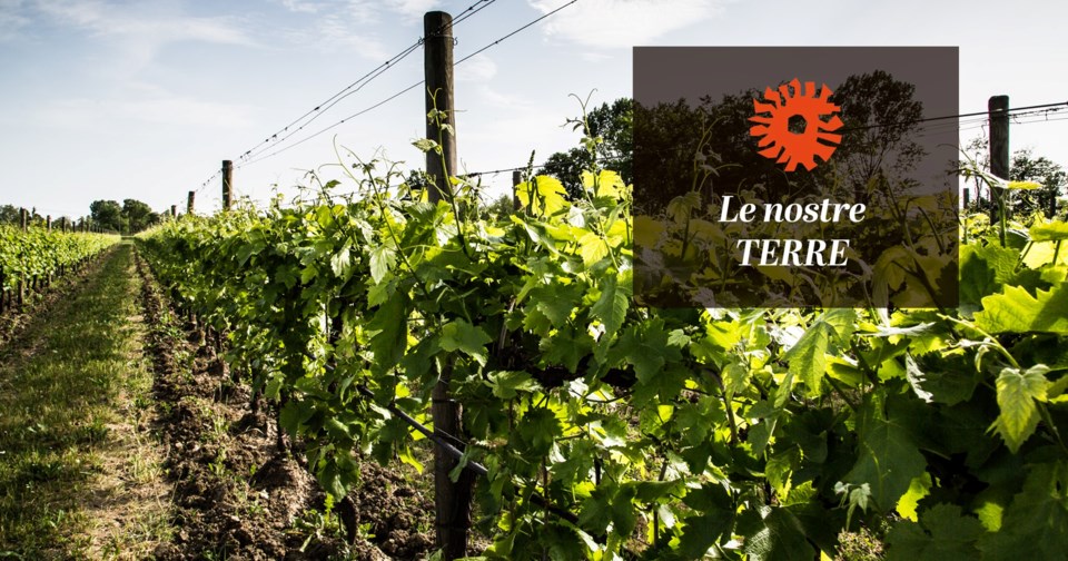 83759608_2740918326027803_7239248118498197504_n-laura-stradiotto