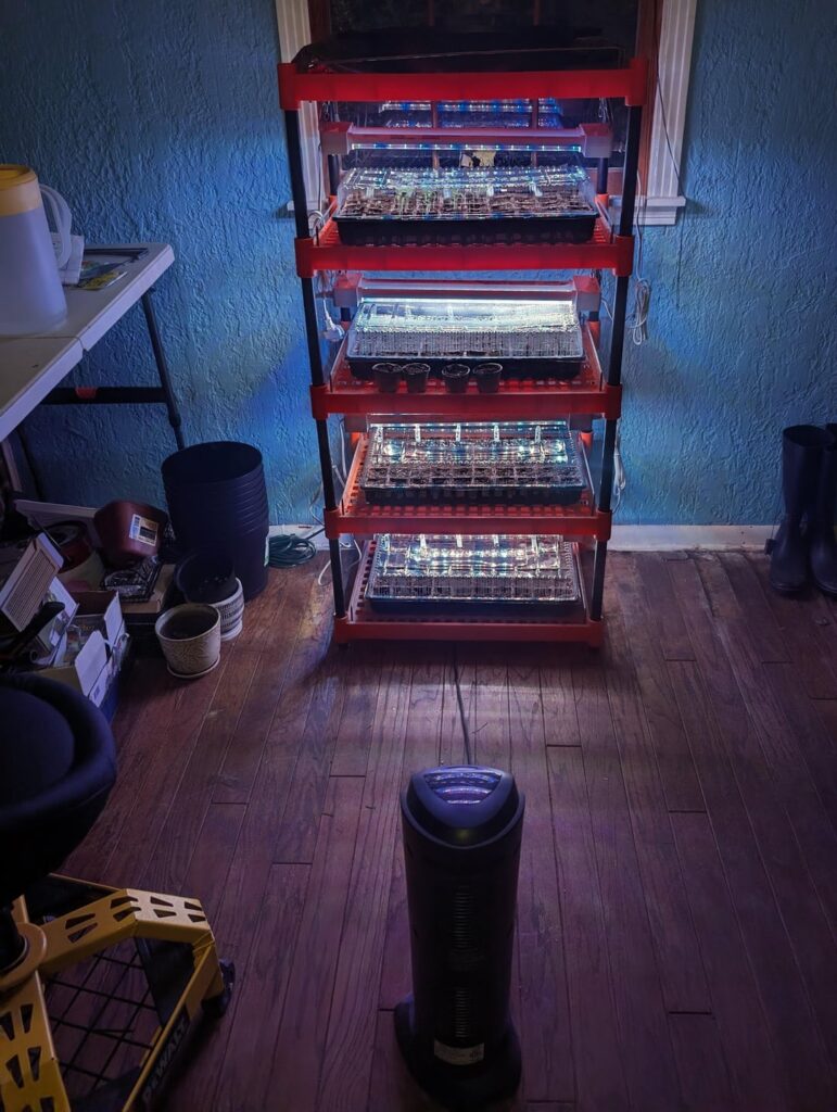 This year should be good