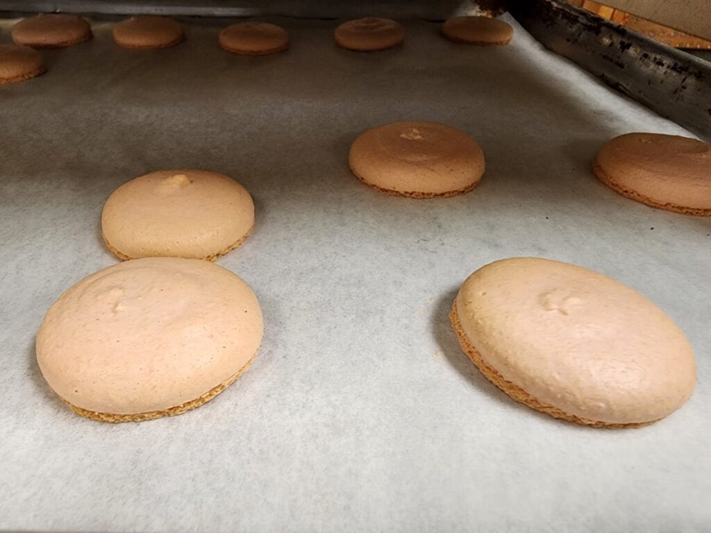 First try at macarons!